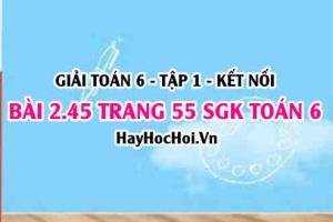 Giải bài 2.45 trang 55 Toán 6 Tập 1 SGK Kết nối tri thức